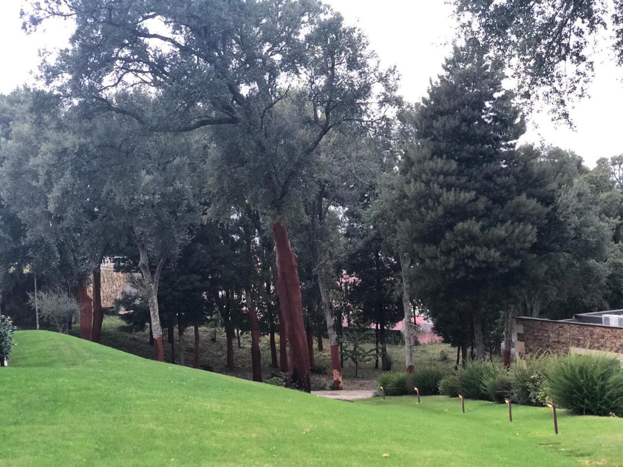 Bosque Da Harmonia Pension Arco de Baulhe Buitenkant foto