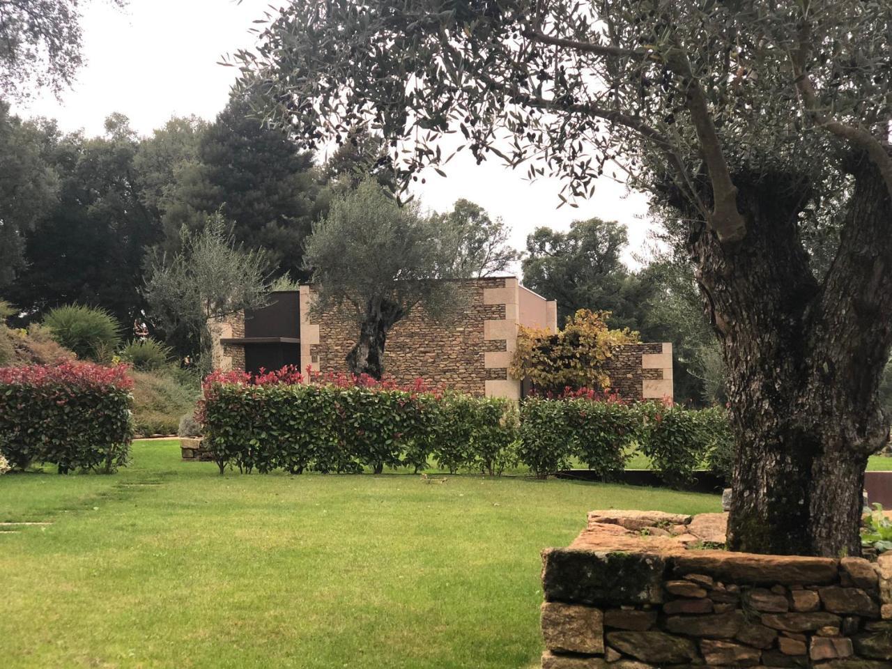 Bosque Da Harmonia Pension Arco de Baulhe Buitenkant foto
